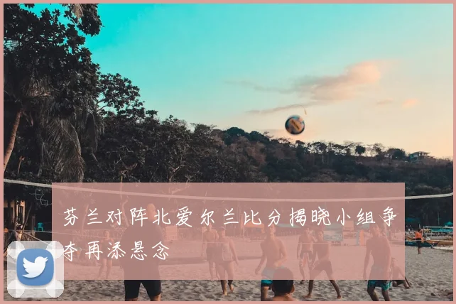 芬兰对阵北爱尔兰比分揭晓小组争夺再添悬念