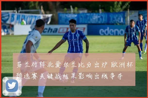 芬兰对阵北爱尔兰比分出炉 欧洲杯预选赛关键战结果影响出线争夺